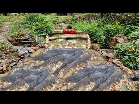 Full video of 36 days of making fish traps Lucky boy Lam