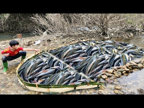 How to catch fish by Ancient Method Using bamboo to make a