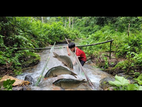 The boy Lam used a white net as a trap to catch fish in the