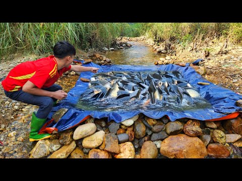 The boy used a tarpaulin to make a fish trap The way to