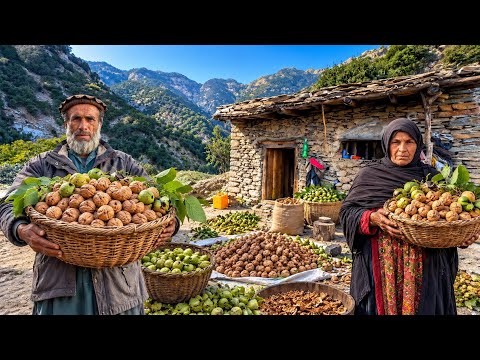 Afghan Nomadic Life Discover the Simple Beauty of Mountain