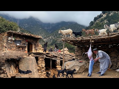 This Family Lives on a Mountain Peak Far From Civilization