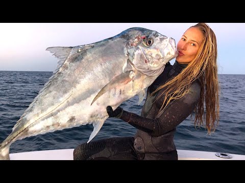 My GIANT AFRICAN POMPANO Spearfishing