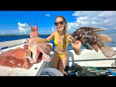Primitive Spearing Hogfish Venomous Lion Fish Catch Clean