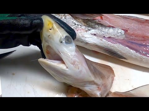 THIS was inside A FISH STOMACH