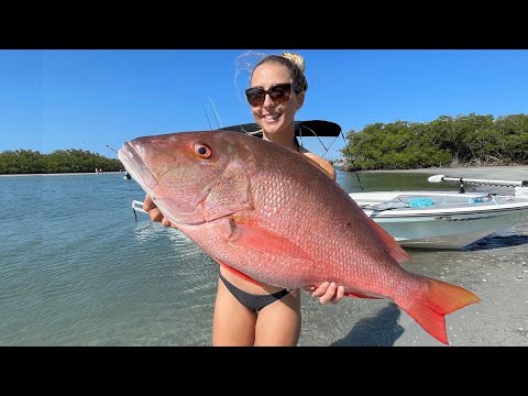 How to Catch Mutton Snapper Snorkeling in Shallow Waters