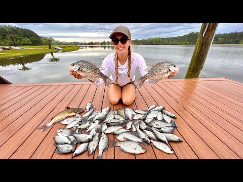 Crappie Fishing with MINNOWS on the LAKE Catch Clean Cook