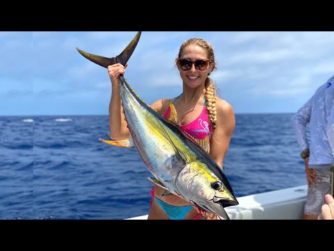 YELLOW FIN Tuna In VENICE Louisiana