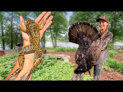 Epic Frog Hunt with a 22 Rifle Wild Turkey Hunt Cooking