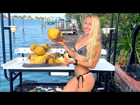 ISLAND LIFE Husking Coconuts Eating Stone Crab