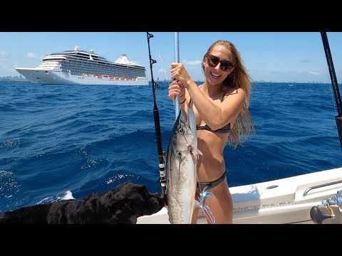 FISHING around CRUISE SHIPS WRECK Spearfishing