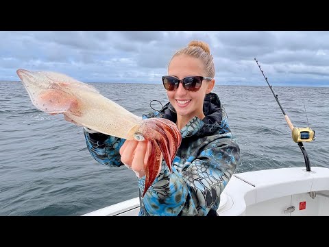 Catching Squid Off The Dock No Boat Needed catch clean cook