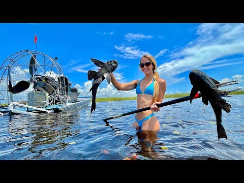Wading in Alligator Infested Waters Gigging INVASIVE Fish