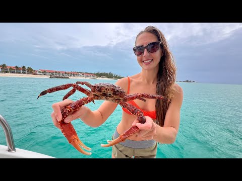 Giant Caribbean King CRAB Catch Clean Cook Bahamas