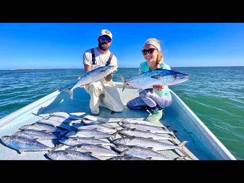 How to FILL the Boat with 1 000 FISH Catch Clean Cook