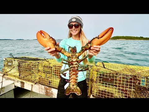 MASSIVE North Atlantic LOBSTER Catch Clean Cook Pulling