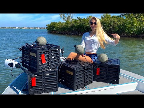 HOW TO Build Stone Crab Traps Everything You Need To Know