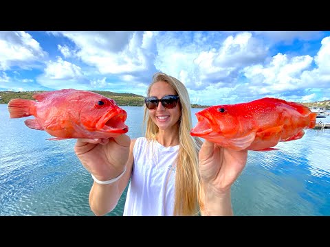 Catching the SMALLEST Best TASTING Grouper Diving in the