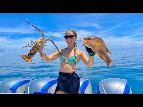 BAHAMA ISLAND Lobsters Diving Clear Water WRECK Lobster