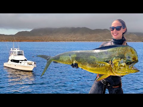Baja Mexico Policiá Van Chase Spearfishing Mahi Mahi Madness