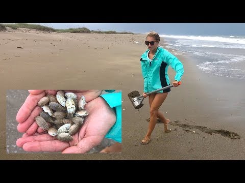 How To CATCH Sand FLEAS