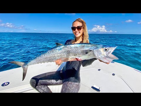 KINGFISH Mackerel Catch Clean Cook what s inside the stomach