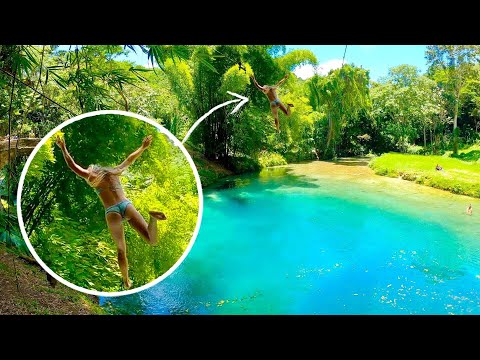 HIGHEST Rope Swing In Jamaica I JUMPED