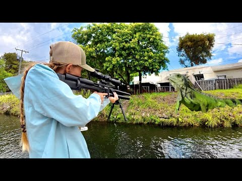 Iguana Hunting in Florida Catch Cook Snorkeling Miami Waters