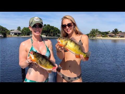 Peacock Bass Fishing on Lake Ida