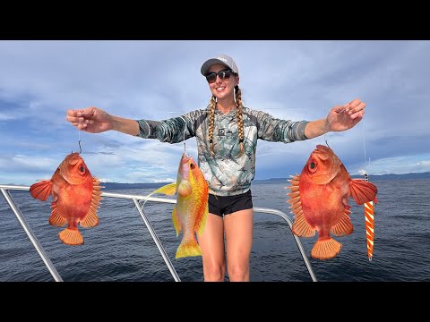 Offshore Fishing Colombia GIANT Rooster Fish NEW World