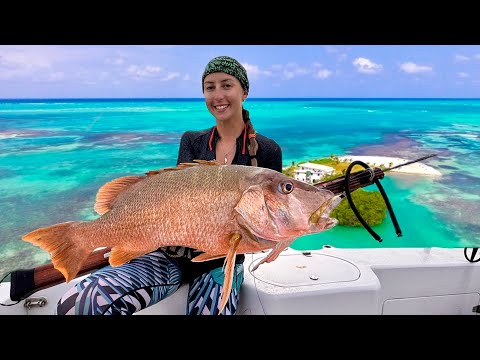 We Have our Own Private Island Spearfishing HUGE Dog