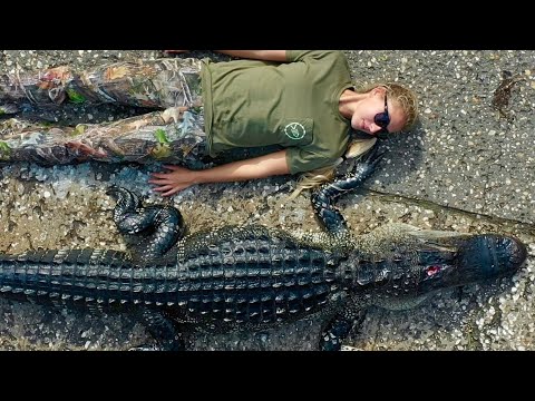 Alligator Harpoon BONUS Surprise Critter Caught in TRAP