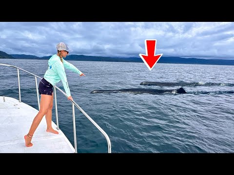 Unexpected Encounter While Fishing Sleeping in a Remote