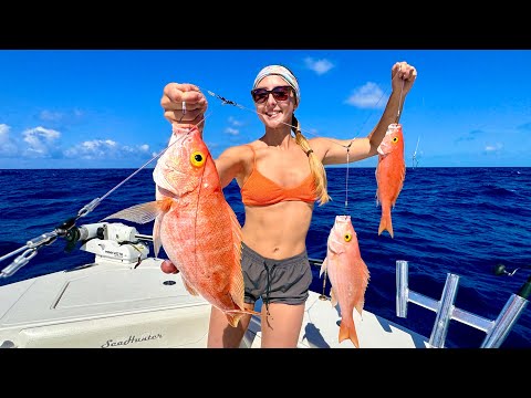 Yellow Eye SNAPPER Caught on Electric Reel Catch Clean and