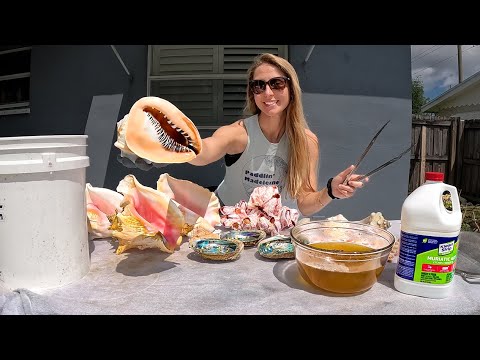 How to Clean Shells with Muriatic Acid