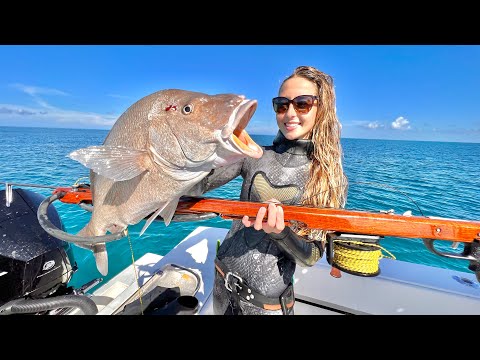 BIGGEST White Snapper Speared in Shallow Water