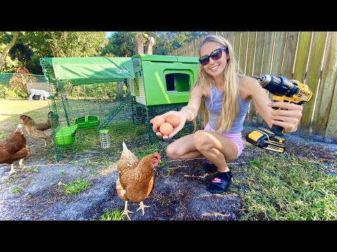 Building my PET CHICKENS the home of their DREAMS Omlet Coop