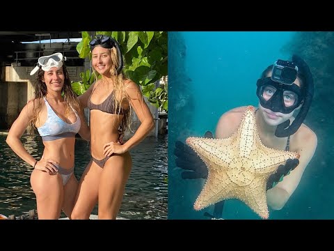 SNORKELING Cato s Bridge in Jupiter Florida