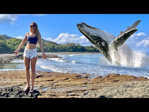 Expect the Unexpected RARE Whale Encounter Happiest Day of