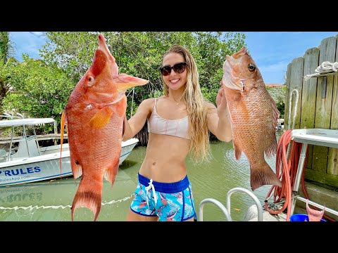Tank Diving for DINNER Spearfishing Cleaning fish Cooking