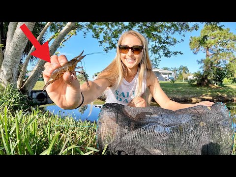 Setting Crawfish Traps in My Hometown Neighborhood Ponds