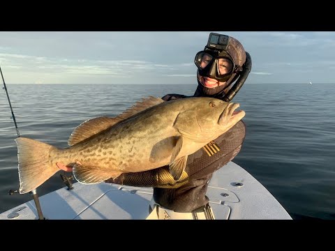 EASIEST Fish to SPEAR