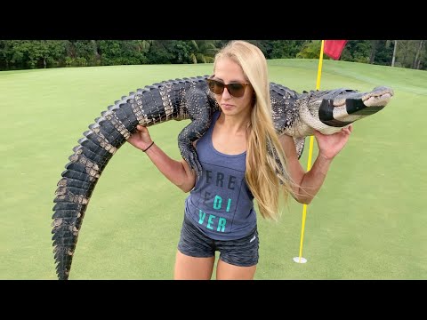 CATCHING Alligators in a Neighborhood