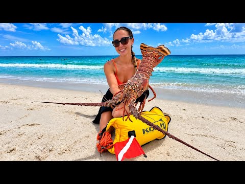 Catching GIANT Florida Lobster From The Beach Spearfishing
