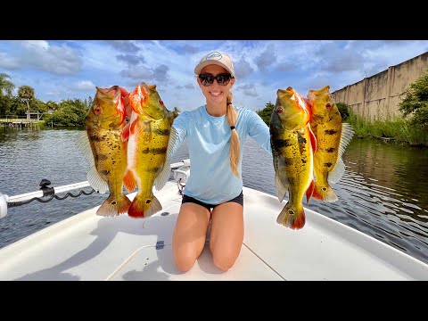 Catching a Handful of Aggressive Fish RARE Fish in a Lake