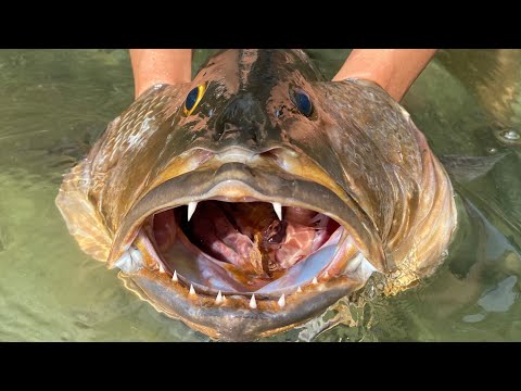 How To Make FISH HEAD SOUP Healthiest Soup
