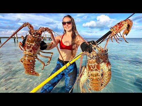 Snorkeling Unknown Waters Finding the Unexpected Lobster