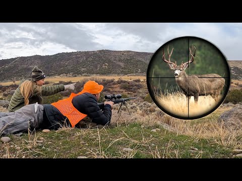 Mule Buck Hunt in The Mountains of Colorado How to Cure