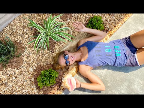 How to transform DIRT into FLOWERS Plus a Sneak Peak