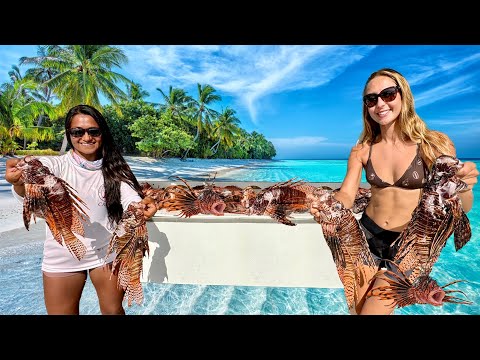 Wreck Scuba Diving SPEARING Lion Fish CONTEST Key West